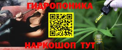 jwh Будённовск
