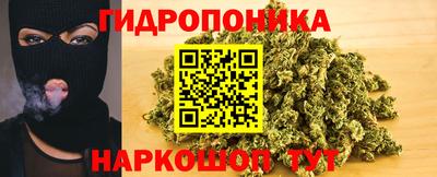 jwh Будённовск