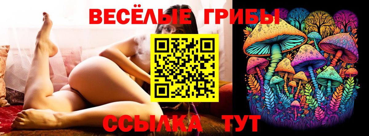дарнет шоп  Псилоцибиновые грибы Psilocybe  Вход с VPN  Старая Русса 